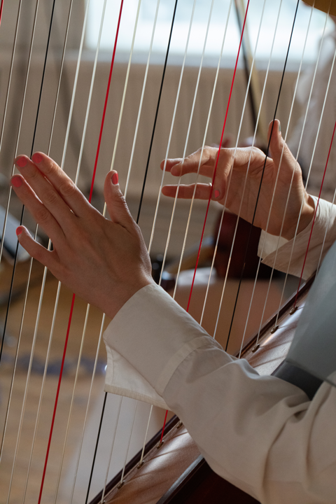 Close-up of hands playing the harp